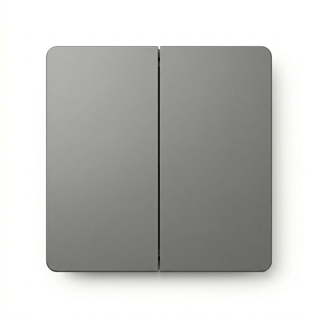 2-Gang Switch