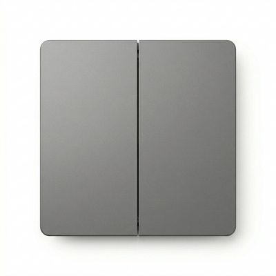 2-Gang Switch