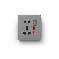Multi Plug 5 in 1 + USB + C Type